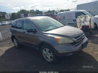 HONDA HONDA CR-V EX