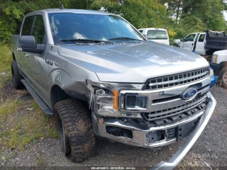 FORD FORD F-150 XLT