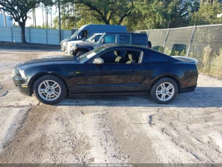 FORD FORD MUSTANG V6