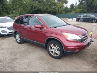 HONDA HONDA CR-V EX-L