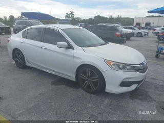 HONDA HONDA ACCORD SPORT