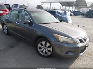 HONDA HONDA ACCORD 3.5 EX-L