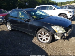 NISSAN NISSAN MAXIMA 3.5 SE