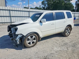 HONDA PILOT EXLN