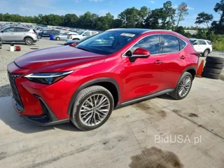 LEXUS NX 350H LUXURY
