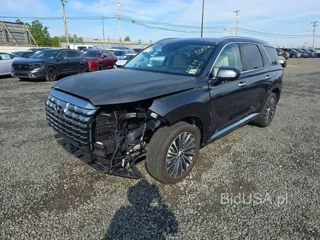 HYUNDAI PALISADE CALLIGRAPHY