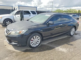 HONDA ACCORD EXL