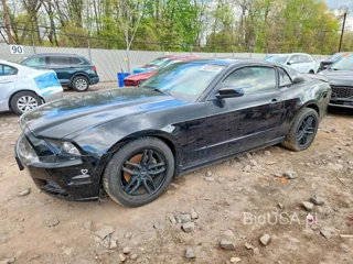 FORD MUSTANG