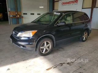 HONDA CR-V EXL