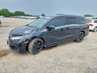 HONDA ODYSSEY SPORT