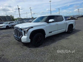 TOYOTA TUNDRA PLATINUM