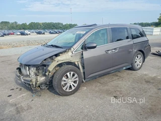HONDA ODYSSEY EXL
