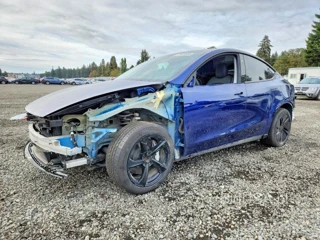 TESLA MODEL  Y