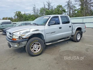 DODGE DAKOTA QUAD