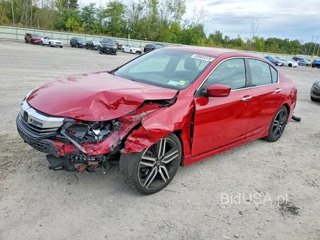 HONDA ACCORD SPORT
