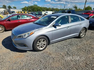 HYUNDAI SONATA ECO