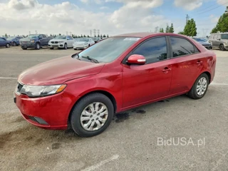 KIA FORTE EX