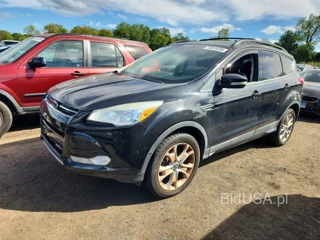 FORD ESCAPE SEL