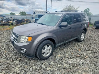 FORD ESCAPE XLT