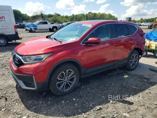 HONDA CR-V EX