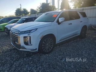 HYUNDAI PALISADE CALLIGRAPHY