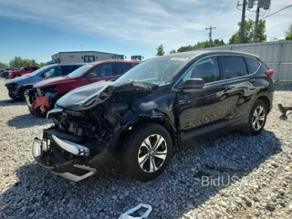 HONDA CR-V LX