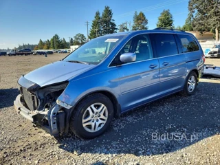 HONDA ODYSSEY EXL