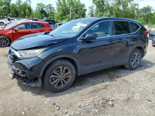 HONDA CR-V EX