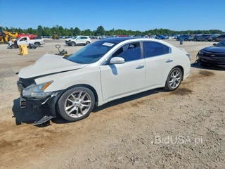 NISSAN MAXIMA 3.5 SV