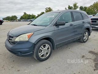 HONDA CR-V EX