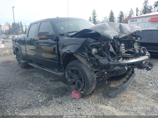 FORD FORD F-150 FX4