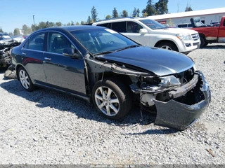 ACURA ACURA TSX