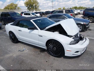 FORD FORD MUSTANG V6