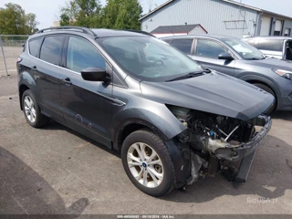 FORD FORD ESCAPE SE