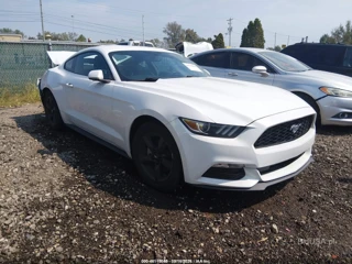 FORD FORD MUSTANG V6