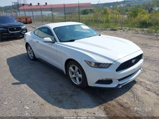 FORD FORD MUSTANG V6