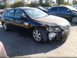 TOYOTA TOYOTA CAMRY LE