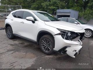 LEXUS LEXUS NX 350