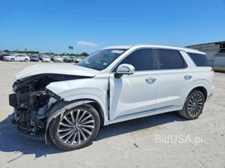 HYUNDAI PALISADE CALLIGRAPHY