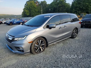 HONDA ODYSSEY ELITE