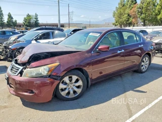 HONDA ACCORD EXL