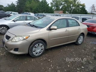 TOYOTA COROLLA XLE
