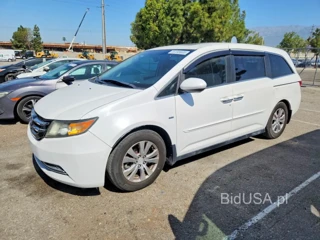 HONDA ODYSSEY EXL