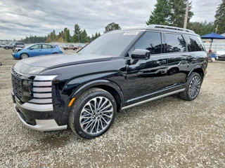 HYUNDAI PALISADE CALLIGRAPHY