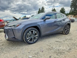 LEXUS UX 250H