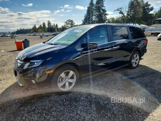 HONDA ODYSSEY EXL