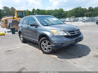HONDA HONDA CR-V LX