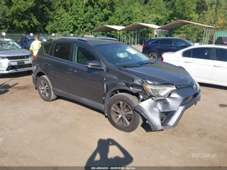 TOYOTA TOYOTA RAV4 XLE