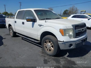 FORD FORD F-150 XLT