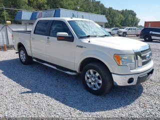 FORD FORD F-150 KING RANCH/LARIAT/PLATINUM/XL/XLT